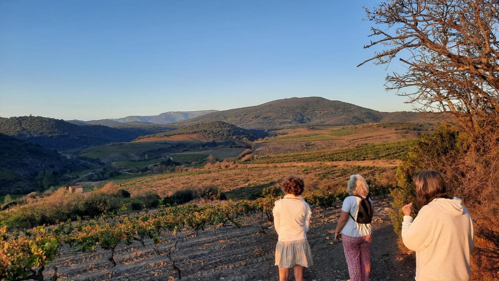 La Barbacane De Cascastel-Des-Corbieres Cascastel-des-Corbières Exterior foto